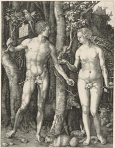 Peccato originale di Durer