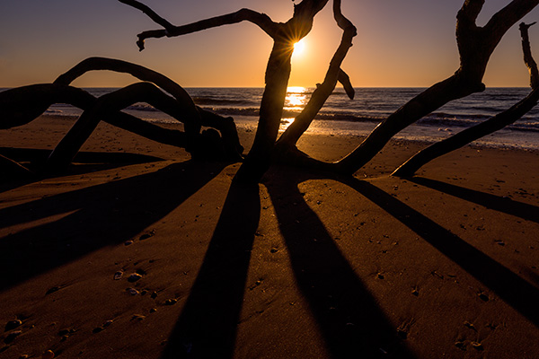 Botany Bay