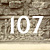 Rilievo n. 107: uscire in compagnia di servi